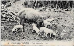 CPA Cochon Pig Métier Non Circulé Pyrénées - Varkens