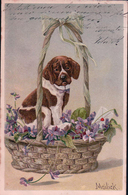 Mailick, Petit Chien Dans Un Panier, Litho Gaufrée (5691) - Mailick, Alfred