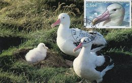 Taaf Crozet Base Alfred Faure Grand Albatros Carte Maximum Du 8/11/ 2007 - Used Stamps