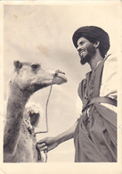 Maroc,rabat,chameau Avec Son Chauffeur,taxi Et Moyen De Voyager De L'époque,rare,photo Gillet Rare - Rabat