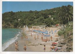 83.461/ Le RAYOL CANADEL - La Plage Du Canadel - Rayol-Canadel-sur-Mer