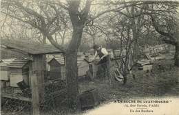 APICULTURE  " A LA RUCHE DU LUXEMBOURG "  15 Rue Vavin PARIS Mr PATAY Apiculteur - Sonstige & Ohne Zuordnung