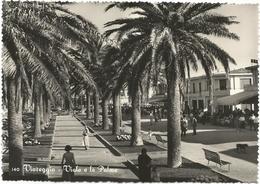 X2243 Viareggio (Lucca) - Il Viale E Le Palme - Animata / Non Viaggiata - Viareggio