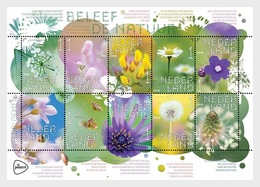 Nederland / The Netherlands - Postfris / MNH - Sheet Wilde Bloemen 2018 - Unused Stamps