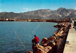 Cartolina Marina Di Carrara Porto Pescatori (Massa) - Massa