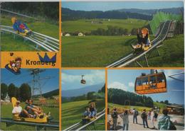 Kronberg-Bob & Luftseilbahn - Photo: Gross - Kronberg