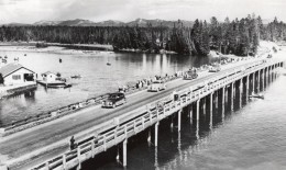 USA Wyoming Yellowstone River Pont Des Pecheurs Ancienne Carte Photo Haynes 1940 - Yellowstone