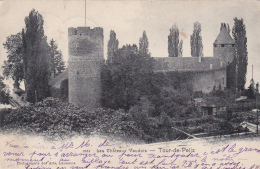 Château De La Tour De Peilz - Oblitérée Montcherand Et Lignerolle Le 20.III.1905 - La Tour-de-Peilz
