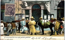 MEXIQUE -- A Rain Coat , Burros And Petate Peddler - Mexique