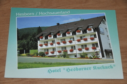3303- Hesborn, Hotel Hesborner Kuckuck - Autres & Non Classés
