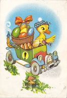 D4053- DUCKLING, EASTER EGGS, CAR, MUSHROOMS - Champignons