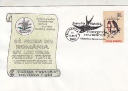 D4073- BARN SWALLOW, BIRDS, SPECIAL COVER, 1993, ROMANIA - Zwaluwen