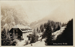 SUISSE,SCHWEIZ,SVIZZERA,H ELVETIA,SWISS,SWITZERLAND ,carte  Photo,1920,kurhaus Voralp Grabs,station Cure - Grabs