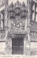 Carte Postale Ancienne,CHER,LE CHATEAU DE MEILLANT,construit Au 15 ème Siècle ,porte Tour Du Lion,style Renaissance - Meillant