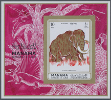 22074 Adschman - Manama / Ajman - Manama: 1970/1972 (ca.), Collection In Stockbook With About 275 Differen - Manama