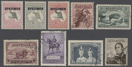 22221 Australien: 1913/2005 (ca.), Collection And Duplicates In 11 Albums With Kangaroos Up To 5s. With Di - Altri & Non Classificati