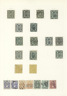 22277 Bolivien: 1870/1990 (ca.), Used And Mint Collection/accumulation On Leaves/stockpages, Main Value In - Bolivia