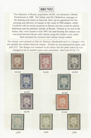 22325 Brunei: 1895, Definitives "Star And Local Scene", Specialised Collection Of 55 Stamps On Album Page - Brunei (1984-...)