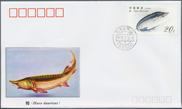 22469 China - Volksrepublik: 1993/1997 STOCK OF APPRX. 18.500 FDCs. This Impressive Holding Was Accumulate - Andere & Zonder Classificatie