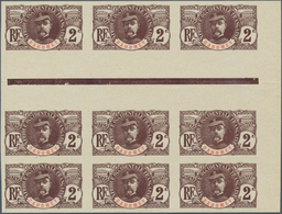 22498 Dahomey: 1906, General Louis Faidherbe 2c. Brown/red In A Lot With 35 IMPERFORATE Stamps In Blocks I - Andere & Zonder Classificatie