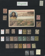 22569 Französisch-Guyana: 1821/1900, Mint And Used Collection On Stockpages From A Good Section Early Over - Lettres & Documents