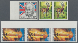 23320 Kamerun: 1962/1985 (ca.), Accumulation In Box With Stamps And Miniature Sheets Incl. Many IMPERFORAT - Camerun (1960-...)