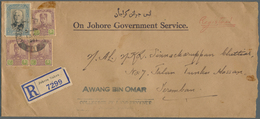 23544 Malaiische Staaten - Johor: 1923/1941 (ca.), Accumulation With Nine Commercial Covers Incl. Differen - Johore