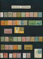 23706 Neukaledonien: 1905/2013, Comprehensive Collection On Stockpages, Mainly In Mint Condition, Also Pos - Autres & Non Classés