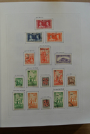 23717 Neuseeland: 1937-1993. Mostly Used Collection New Zealand 1937-1993 In Blanc Davo Album, Including S - Neufs