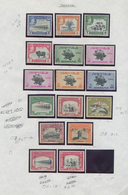 23788 Pakistan: 1947-1970's: Mint And Used Collection With Some Optd. KGVI. Definitives (including Local O - Pakistan