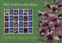 23827 Papua Neuguinea: 2007. Lot With 500 Sheets ORCHIDS 1.00k With Personalised Ornamental Label LEATHER - Papua Nuova Guinea