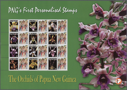 23831 Papua Neuguinea: 2007. Lot With 500 Sheets ORCHIDS 1.00k With Personalised Ornamental Label SIAC DAN - Papua Nuova Guinea