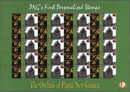 23833 Papua Neuguinea: 2007. Lot With 500 Sheets ORCHIDS 3.00k With Personalised Ornamental Label NATIONAL - Papua Nuova Guinea