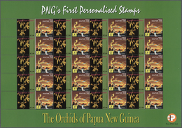 23837 Papua Neuguinea: 2007. Lot With 500 Sheets ORCHIDS 3.00k With Personalised Ornamental Label TURTLE S - Papoea-Nieuw-Guinea