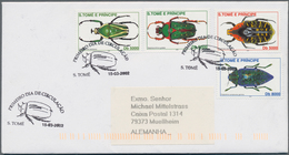 23947 St. Thomas Und Prinzeninsel - Sao Thome E Principe: 2001/2003, Duplicated Accumulation With 48 Cover - Sao Tome Et Principe