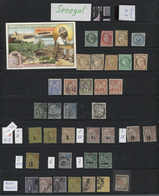 24044 Senegal: 1865/1910 (ca.), Mint And Used Collection On Stockpages, From Some General Issues With Bett - Senegal (1960-...)