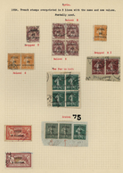 24180 Syrien: 1920/1970, Mint And Used Collection In A Scott Binder, From A Good Part French Period And Sh - Syrien