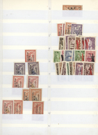 24197 Syrien: 1922/1957, Airmails, Comprehensive Mint And Used Stock In A Binder, Well Sorted From Early I - Syrië