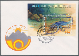 24226 Tadschikistan: 1998/2003, Bestand Von 95 Ersttagsbriefen Teils In Größeren Einzelmengen Dabei Viele - Tadschikistan