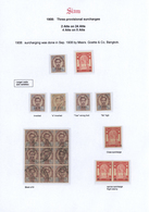 24237 Thailand: 1907/1908, Provisional Surcharges, Specialised Collection Of Apprx. 70 Stamps On Written U - Thailand