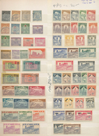 24271 Tunesien: 1888/1955, Mint And Used Collection/assortment On Large Stockcards, Comprising Definitives - Tunesien (1956-...)