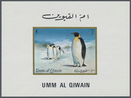 24304 Umm Al Qaiwain: 1970/1972 (ca.), Collection In Stockbook With All Different Perf. And Imperf. Stamps - Umm Al-Qiwain