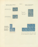 24323 Venezuela: 1859/1860, Specialised Collection Of The 1r. Blue, Neatly Arranged On Written Up Pages Wi - Venezuela