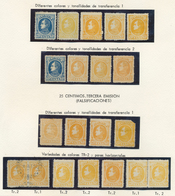 24331 Venezuela: 1880/1896, Specialised Collection/assortment Of The REPRINTS/FORGERIES Of The 1880 "Boliv - Venezuela