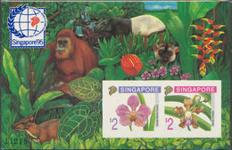 24680 Asien: 1995, Stamp Exhibition SINGAPORE '95 ("Orchids"), IMPERFORATE Souvenir Sheet, Lot Of 100 Piec - Andere-Azië