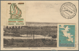 24824 Flugpost Übersee: 1924/1937, French Colonies, Group Of Seven Airmail Covers/cards, E.g. 1925 Senegal - Sonstige & Ohne Zuordnung
