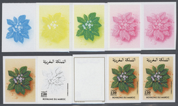 25076 Thematik: Flora, Botanik / Flora, Botany, Bloom: 1986, Morocco. Progressive Proofs (8 Phases) For Th - Autres & Non Classés