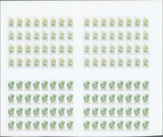 25079 Thematik: Flora, Botanik / Flora, Botany, Bloom: 1993, MOLDAWIEN: Geschützte Blumen Bestand Von Drei - Sonstige & Ohne Zuordnung