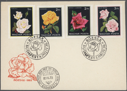 25091 Thematik: Flora-Rosen / Flora-roses: 1960/2000 (approx), Various Countries. Bouquet Of 96 Roses (col - Rosen