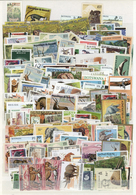 25658 Thematik: Tiere, Fauna / Animals, Fauna: 1920/1990 (ca.), WILDLIFE, Comprehensive Collection/accumul - Altri & Non Classificati